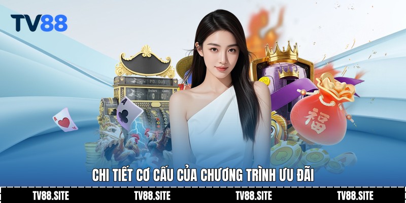 Chi tiết cơ cấu của chương trình ưu đãi