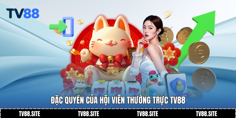 Đặc quyền của hội viên thường trực TV88